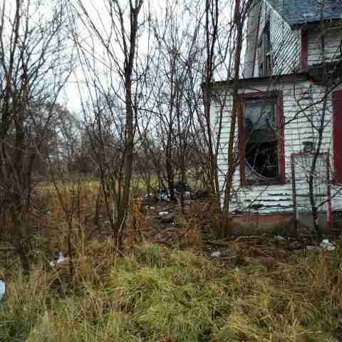 8031 conger (58).jpg